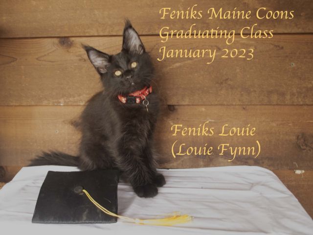 Louie