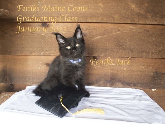 Jack